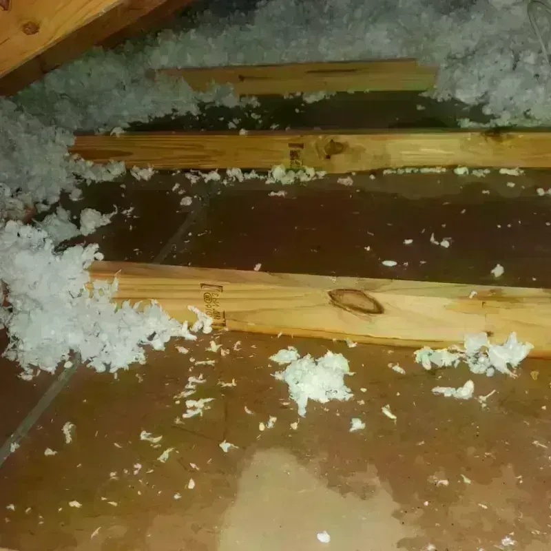 Attic Water Damage in Swampscott, MA